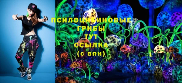 трава Елизово