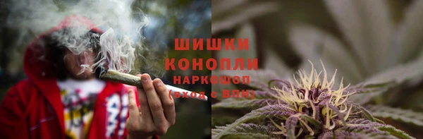 трава Елизово