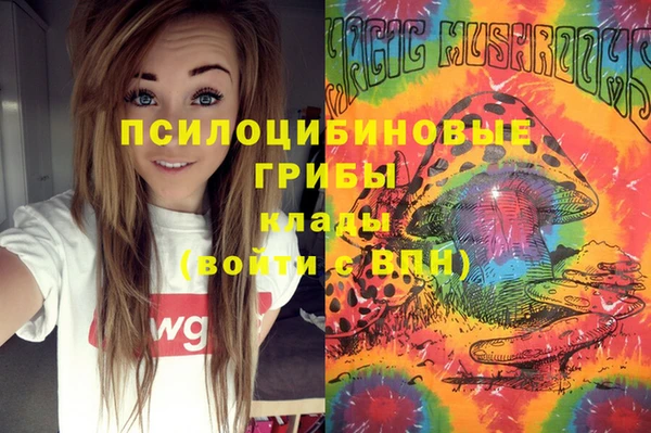 гидропоника Заводоуковск