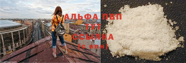 экстази Ельня