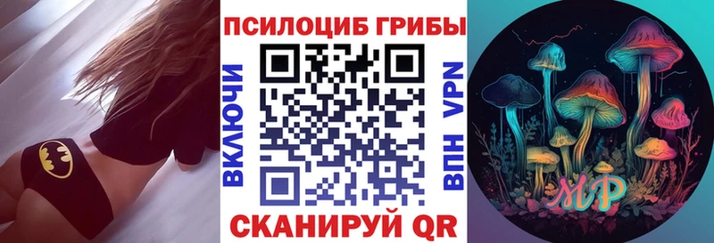Купить закладки  Лесозаводск  Псилоцибиновые грибы MAGIC MUSHROOMS 